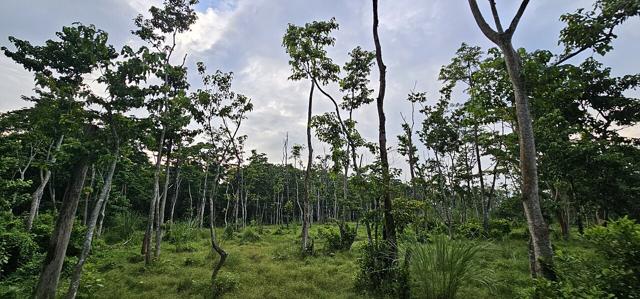 Chitwan National Park